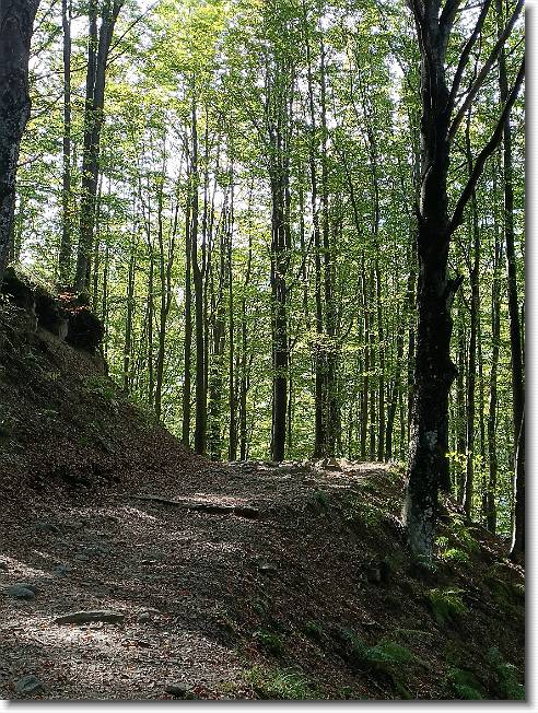 Clicca per scorrere le foto originali ingrandite