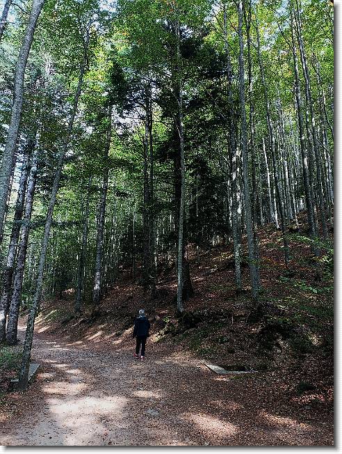 Clicca per scorrere le foto originali ingrandite