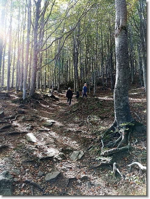 Clicca per scorrere le foto originali ingrandite