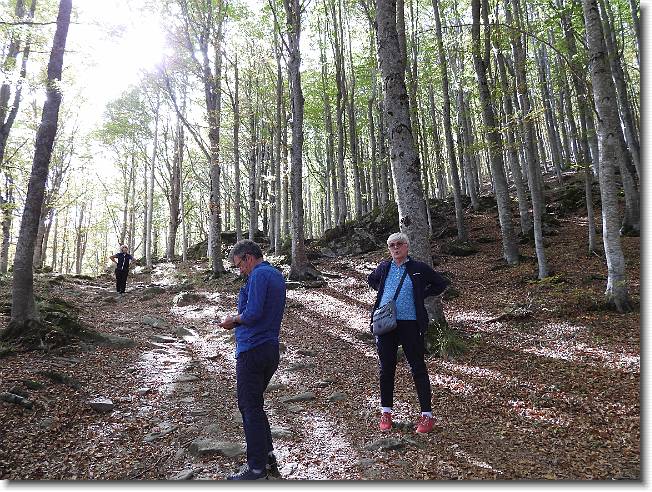 Clicca per scorrere le foto originali ingrandite