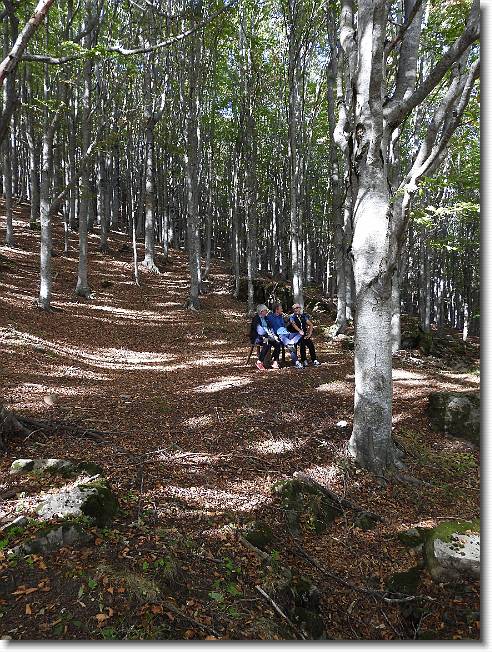 Clicca per scorrere le foto originali ingrandite