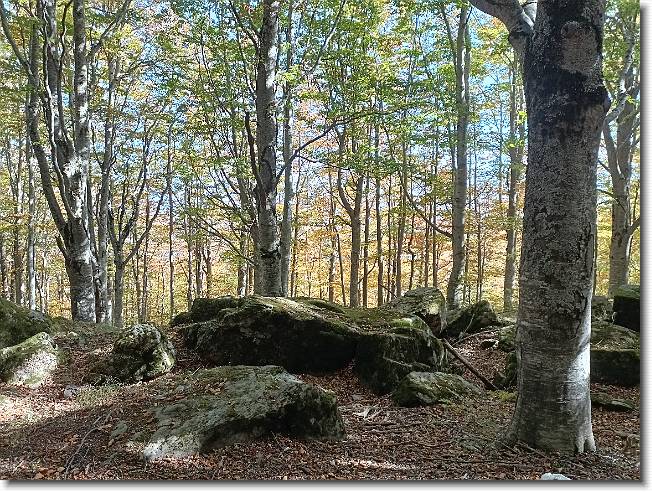Clicca per scorrere le foto originali ingrandite