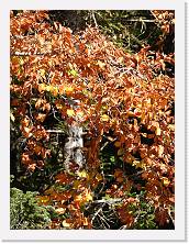 2023-10-08-12h29m36 * 3456 x 4608 * (3.29MB)
