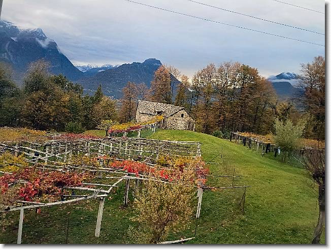 Clicca per scorrere le foto originali ingrandite