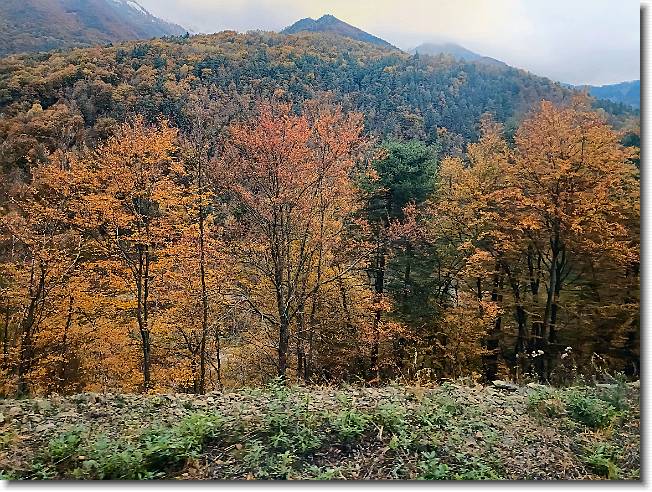 Clicca per scorrere le foto originali ingrandite