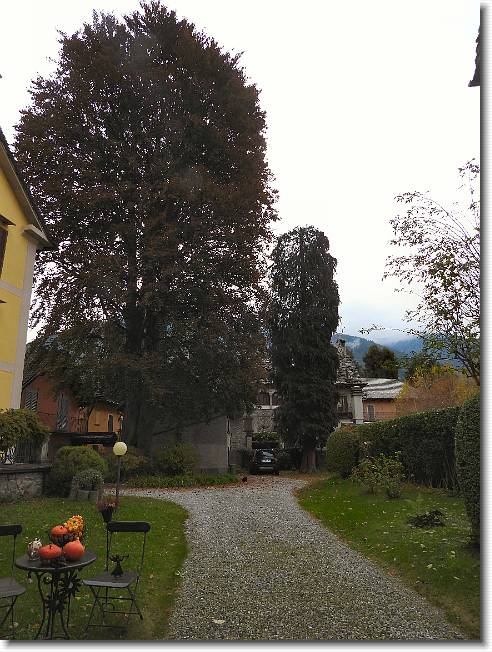 Clicca per scorrere le foto originali ingrandite