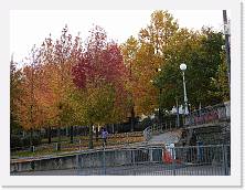 2023-11-05-08h41m52 * 4608 x 3456 * (4.02MB)