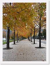 2023-11-05-08h45m30 * 4608 x 3456 * (4.01MB)