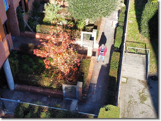 Clicca per scorrere le foto originali ingrandite