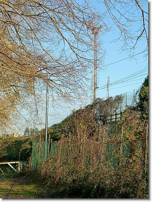 Clicca per scorrere le foto originali ingrandite