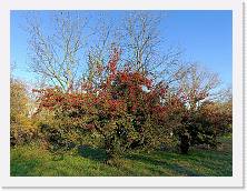 IMG20231206142506 * 4624 x 3468 * (9.23MB)