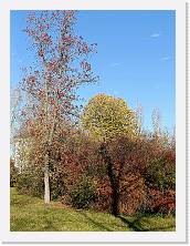 IMG20231206142652 * 3468 x 4624 * (8.94MB)