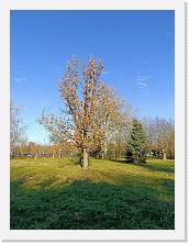 IMG20231206143223 * 3468 x 4624 * (6.57MB)