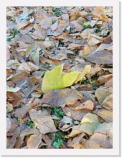 IMG20231206143503 * 3468 x 4624 * (5.3MB)