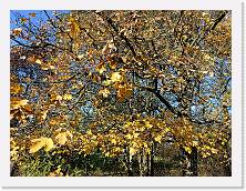 IMG20231206144339 * 4624 x 3468 * (10.79MB)