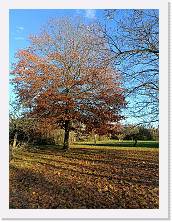 IMG20231206145753 * 3468 x 4624 * (10.19MB)