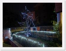 IMG20231224211155 * 4624 x 3468 * (5.06MB)