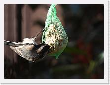 DSCN2059 * 4608 x 3456 * (6.57MB)