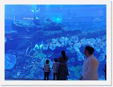 2024-01-07-13h16m00 * 4624 x 3468 * (5.14MB)