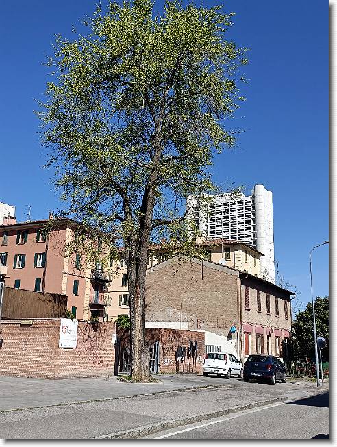 Clicca per scorrere le foto originali ingrandite