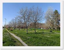 IMG20240316151932 * 4624 x 3468 * (9.72MB)