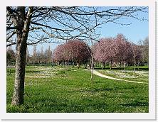 IMG20240316152033 * 4624 x 3468 * (8.62MB)