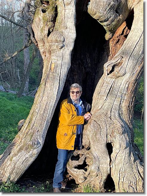 Clicca per scorrere le foto originali ingrandite