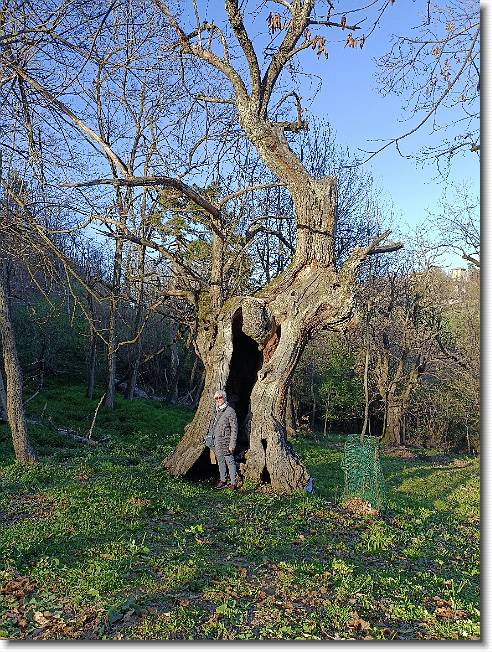 Clicca per scorrere le foto originali ingrandite
