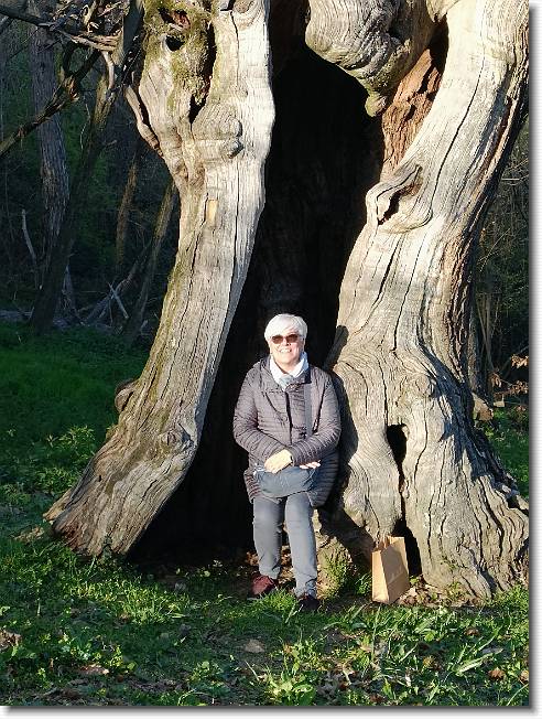 Clicca per scorrere le foto originali ingrandite