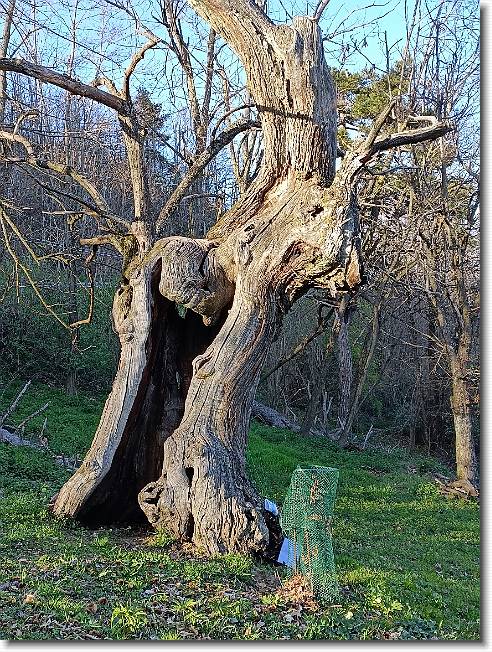 Clicca per scorrere le foto originali ingrandite