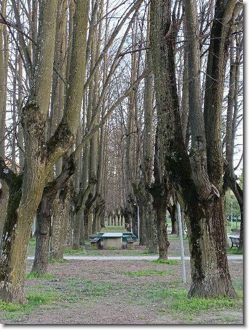 Clicca per scorrere le foto originali ingrandite