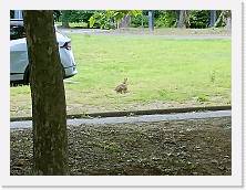 IMG20240517165731 * 4624 x 3468 * (3.26MB)