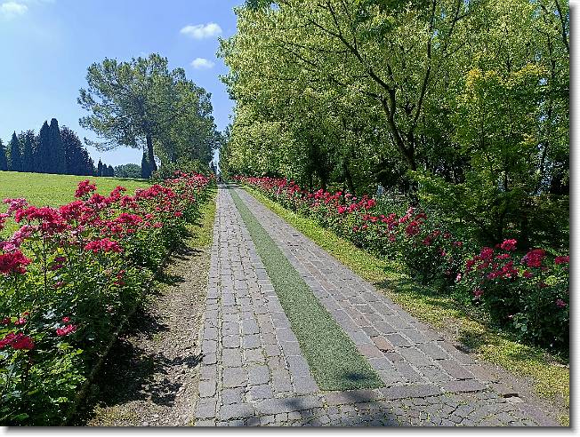 Clicca per scorrere le foto originali ingrandite