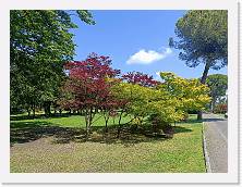2024-05-18-11h17m51 * 4624 x 3468 * (9.27MB)