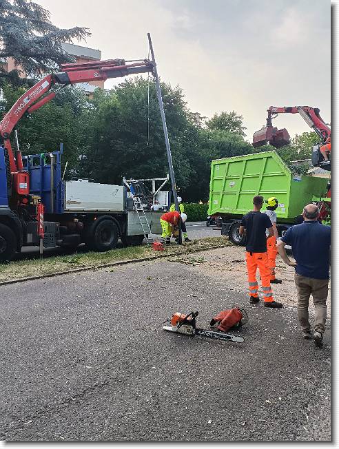 Clicca per scorrere le foto originali ingrandite