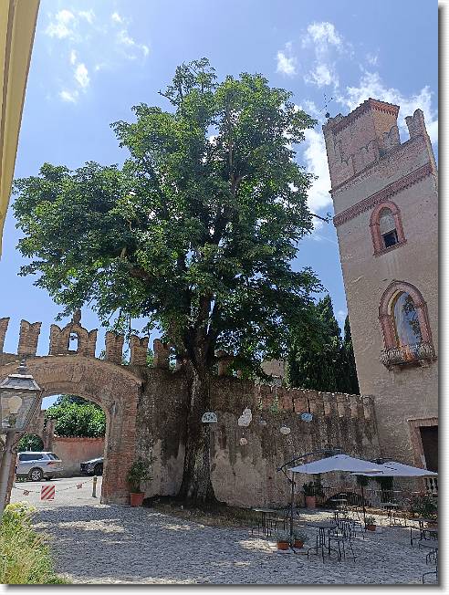 Clicca per scorrere le foto originali ingrandite
