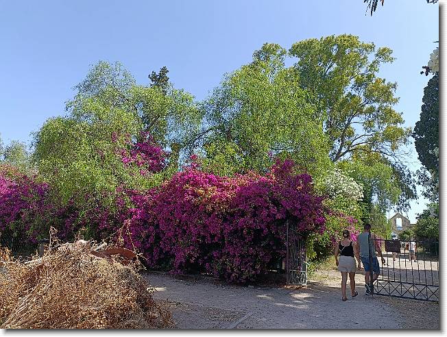 Clicca per scorrere le foto originali ingrandite