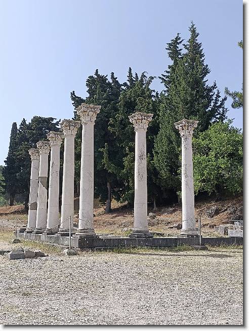 Clicca per scorrere le foto originali ingrandite