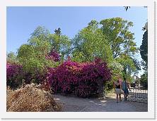 IMG20240612103843 * 4624 x 3468 * (7.9MB)