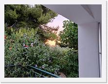 IMG20240614202324 * 4624 x 3468 * (6.15MB)