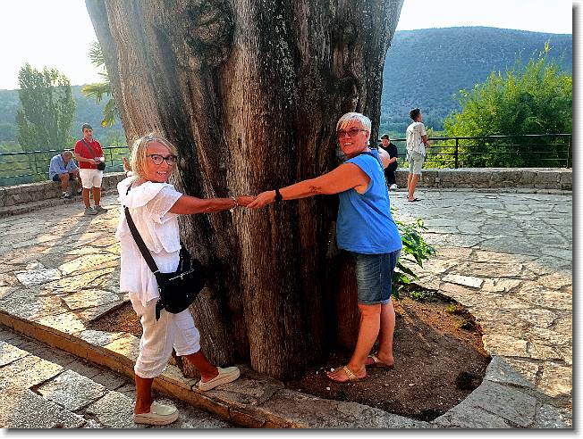 Clicca per scorrere le foto originali ingrandite