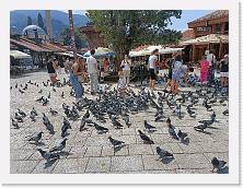 IMG20240828121307 * 4624 x 3468 * (4.61MB)