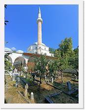 IMG20240828154103 * 2448 x 3264 * (3.34MB)