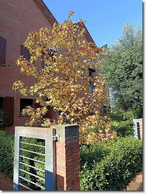 Clicca per scorrere le foto originali ingrandite