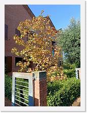 2024-10-30-13h09m21 * 3468 x 4624 * (8.87MB)