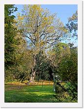 IMG20241030115606 * 3468 x 4624 * (8.7MB)