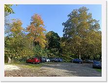 IMG20241030115941 * 4624 x 3468 * (9.47MB)