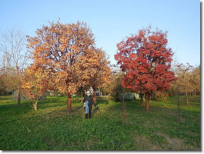 Clicca per scorrere le foto originali ingrandite