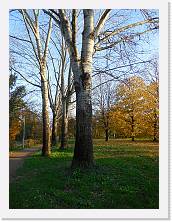 DSCN0714 * 3456 x 4608 * (4.1MB)