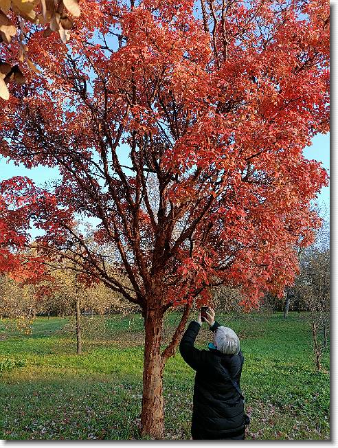 Clicca per scorrere le foto originali ingrandite